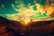 nature_photography_tumblr_blogs-7-300x199
